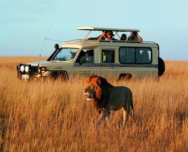 Safari adventure in Nairobi